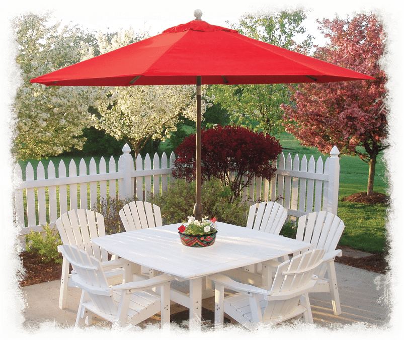 traybrella-main-image